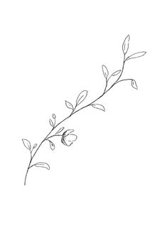 a black and white drawing of a branch with leaves