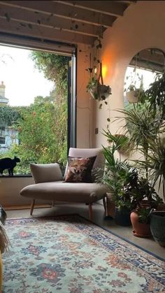 a living room filled with lots of plants next to a large window covered in potted plants