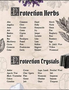 Protection Herbs, Protection Spell Jar, Spell Witchcraft, Tarot Significado, Magia Das Ervas, Protection Spell