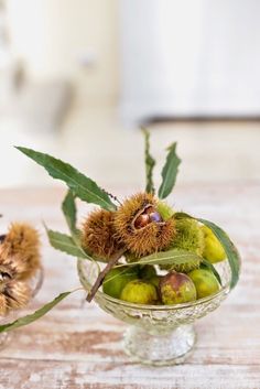 a glass bowl filled with fruit sitting on top of a wooden table next to a stuffed animal