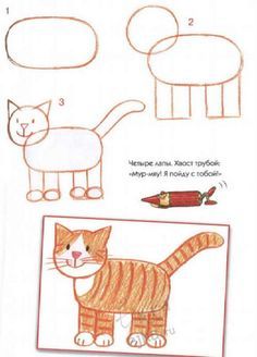 the instructions for how to draw a cat