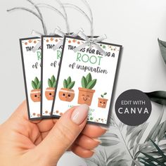 hand holding up three cards with plants on them