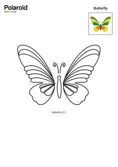 the butterfly coloring page is shown in color and outlined on white paper with black outline