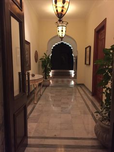 an entry way leading to a hallway with potted plants on either side and lights hanging from the ceiling