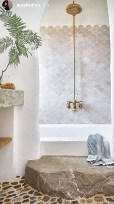 a bath room with a tub and a plant