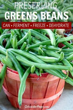 green beans in a basket with text overlay that reads, preserving greens beans can ferment freeze dehydraate