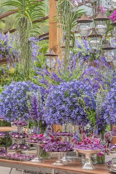 purple flowers are in vases on a table