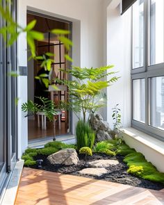 an indoor garden with plants and rocks in the center, near a large glass door