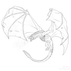 a black and white drawing of a dragon