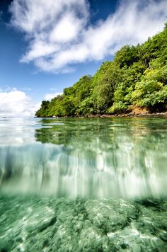 the water is very clear and green with some trees in it's back ground