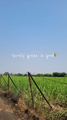 an image of a field that is green and has the words surely green is good on it