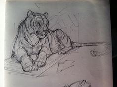 a drawing of a tiger laying on the ground