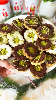 a white plate topped with cookies covered in chocolate