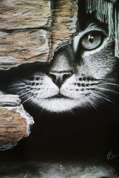 a black and white drawing of a cat's face looking out from behind a tree