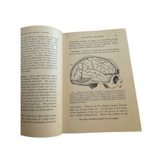 Antique First Edition Psychology and Psychic Culture (1895) by Reuben Post Halleck MD Psychic, Music Book, Psychology, Literature, Books