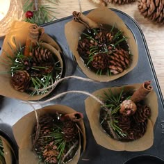 some pine cones are sitting in the muffin tins