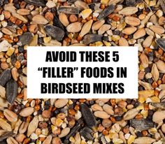 bird seed mix with the words avoid these 5 filler'foods in birdseed mixes