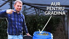 a man pointing to the side of a blue barrel with plants growing in it and an arrow pointing up