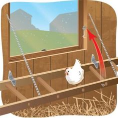 a chicken is standing in front of a window with an arrow pointing to the outside