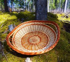 a wicker basket sitting on the ground next to a tree in a forest with moss