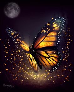 a butterfly flying in the night sky with lights on it's wings and its wings spread