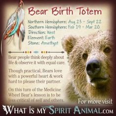 a brown bear with feathers on it's head and the words bear birth totem