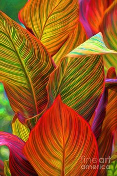 an abstract painting of colorful leaves