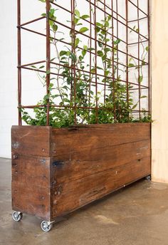 a wooden planter with plants growing in it