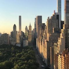 an aerial view of the city skyline with tall buildings and trees in the foreground