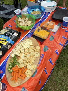 a table topped with lots of food on top of a field