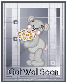 a teddy bear with daisies in its mouth and the caption get well soon