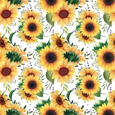 sunflowers with leaves and flowers on a white background seamless wallpaper pattern