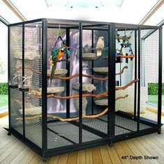 a caged area with several birds in it