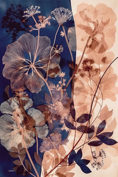 an arrangement of flowers and leaves on a blue background