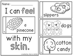 i can feel with my skin worksheet for preschool and pre - k students