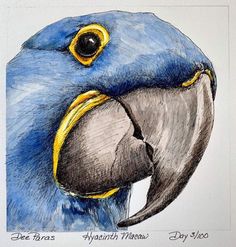 a drawing of a blue and yellow parrot with its head tilted to the right side