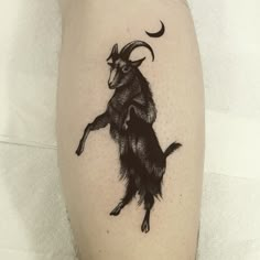 a black and white photo of a goat on the leg