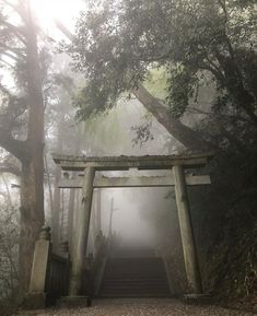 an arch in the middle of a forest with stairs leading up to it and foggy skies