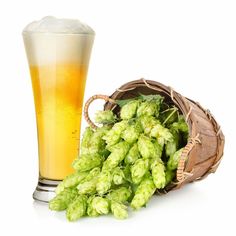 a glass of beer next to some hops on a white background with a wicker basket