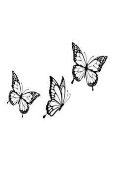 three butterflies flying in the air on a white background, one is drawn with black ink