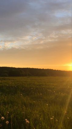 the sun is setting over an open field with wildflowers in the foreground