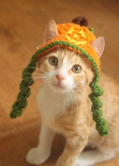 an orange and white cat wearing a green crochet hat on top of it's head