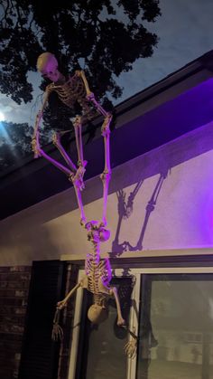 Halloween skeleton for yard Dawn Marie, Halloween Skeleton, Halloween Skeletons, Clay Pots