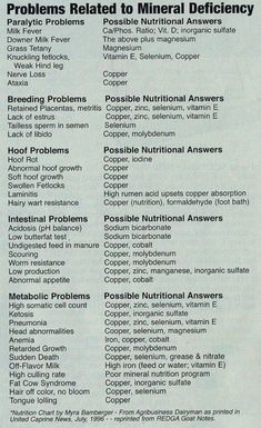 an article in the paper with instructions on how to use minerals for health care