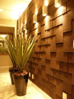 two potted plants sitting on top of a counter next to a wall with lights