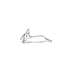 a black and white drawing of a rabbit laying on its back with it's head turned to the side