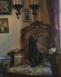 a black cat sitting on top of a chair