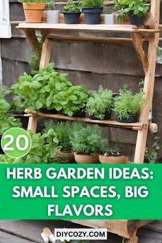 herb garden ideas small spaces, big flavors