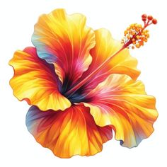 a painting of a colorful flower on a white background