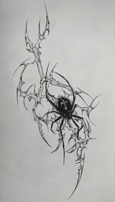 a black and white drawing of a spider